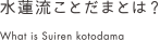 水蓮流ことだまとは